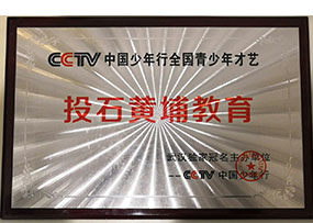 CCTV中国少年行全国青少年才艺